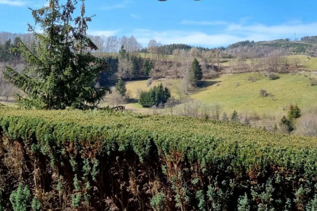 Ferienwohnung Aartalblick Willingen Willingen  Extérieur photo
