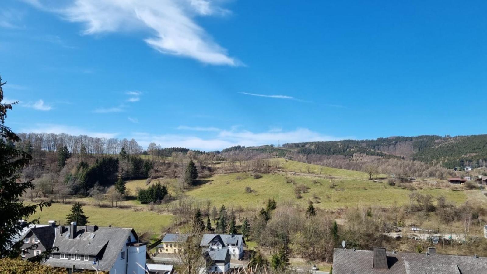 Ferienwohnung Aartalblick Willingen Willingen  Extérieur photo